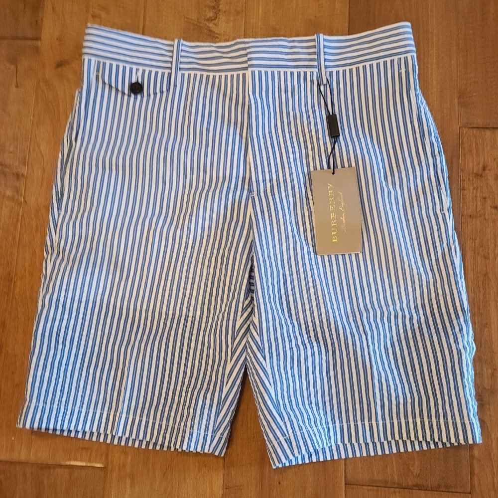 NWTMen's Burberry Serpentine Striped Shorts 36 US